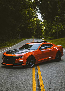 Orange Chevrolet Camaro on Forest Road