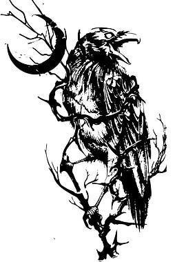 Raven and Crescent Moon Illustration