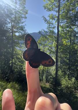 Butterfly on Finger in Nature