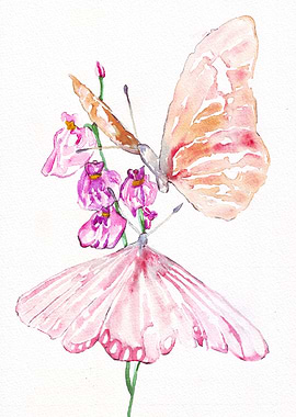 Watercolor Butterfly and Flowers Painting