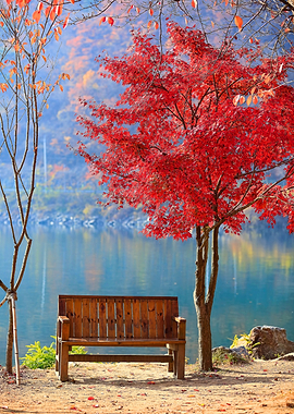 Autumn bench by the lake