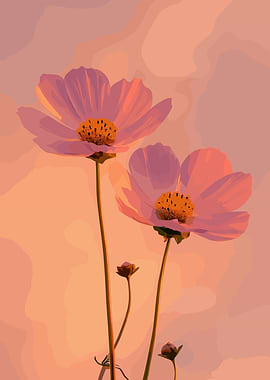 Pink Cosmos Flowers