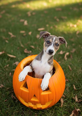 Adorable Puppy in a Halloween Pumpkin