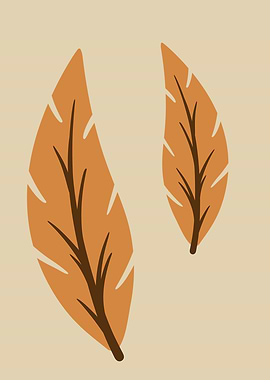 Two Autumn Leaves Illustration