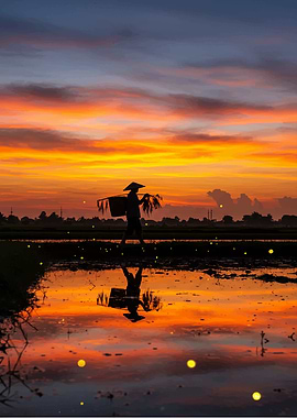 Farmer at Sunset