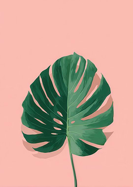 Monstera Leaf on Pink Background