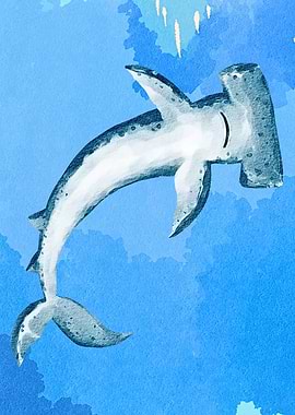 Watercolor Hammerhead Shark Illustration