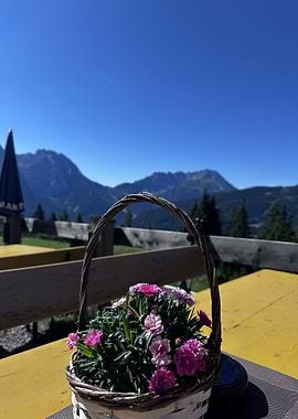 Flowers in basket with mountain view