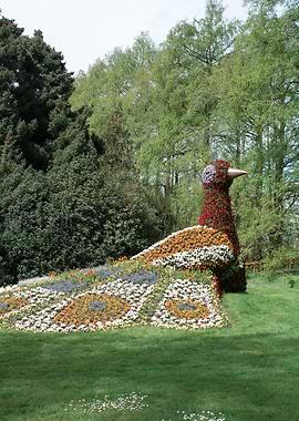Floral Peacock Sculpture in Garden Setting