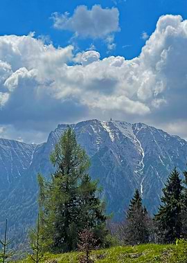Mountain Landscape with Trees and Sky