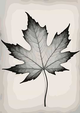 Monochrome Maple Leaf Illustration