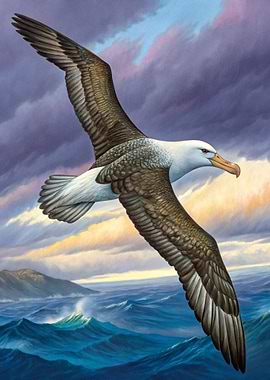 Albatross soaring over the ocean painting