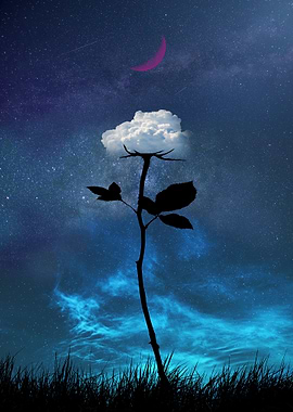 Cloud Rose Under Moon
