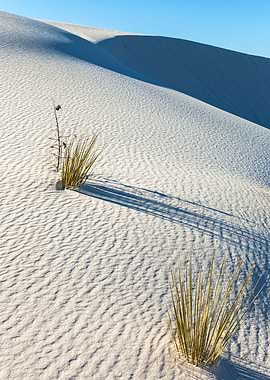 White Sands National Park Landscape