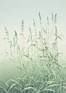Tall grass Green Nature