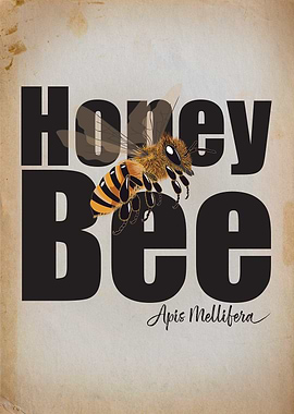 Silent Work: Honey Bee Vintage Botanical Illustration