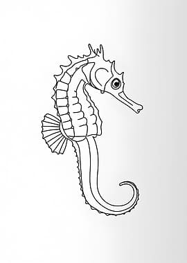 Seahorse Minimalist Line Art