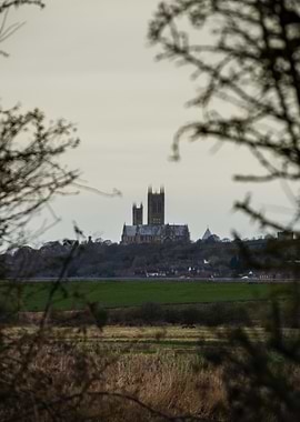 Lincoln Cathedral through the trees