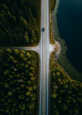 Aerial view of road through forest