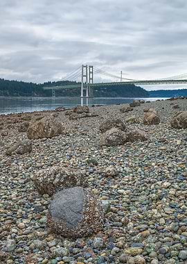 Tacoma Narrows Bridge from a Rocky Beach