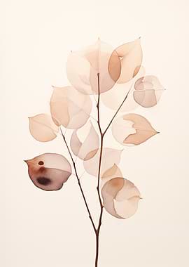 Translucent Leaves Branch