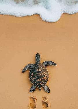 Sea Turtle on Beach