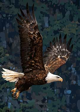 Bald Eagle in Flight