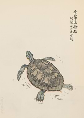Japanese Turtle Art