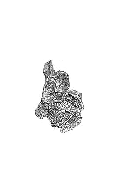 Abstract Black and White Line Art