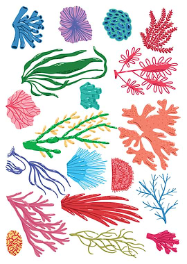 Colorful Seaweed and Coral Illustration