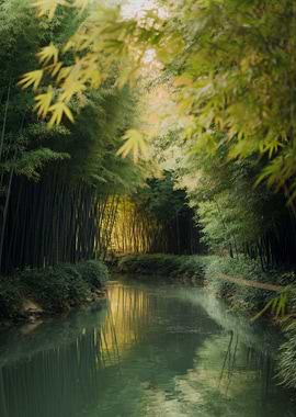 Bamboo Forest River Serene Landscape