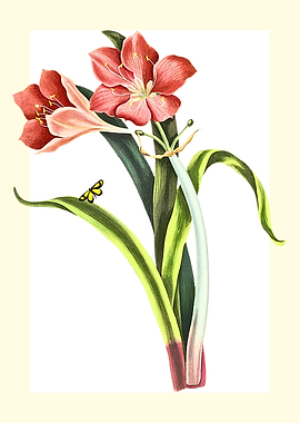 Vintage Floral Illustration with Butterfly