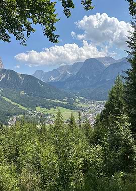 Mountain Valley View from Forest