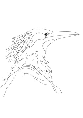 Fantasy Heron Creature Line Art