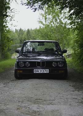 Black BMW on a Forest Road