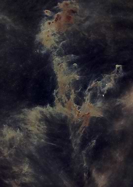 Chamaeleon Molecular Cloud