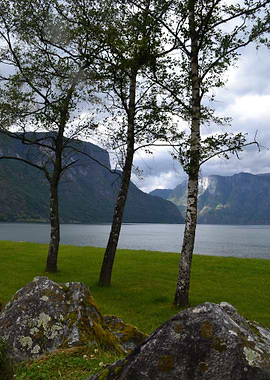 Scenic Landscape with Trees and Mountains