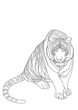 Tiger Minimalist Line Art