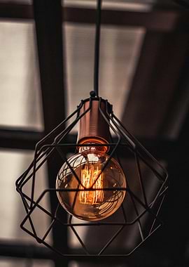 Hanging light bulb with metal cage