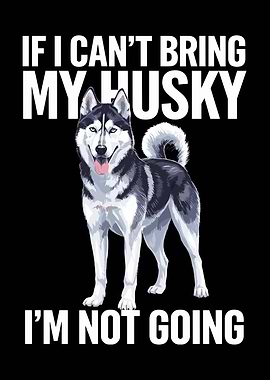 Husky Dog I'm Not Going