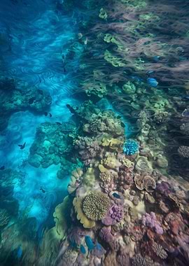 Underwater Coral Reef with Fish