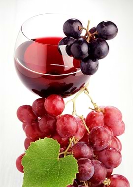 Wine and Grapes Still Life