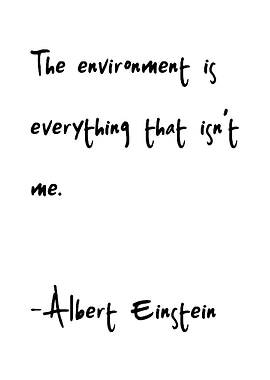 Einstein Quote: The Environment