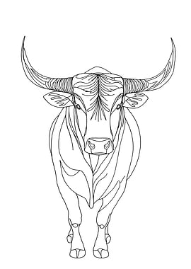 Standing Bull Minimalist Line Art