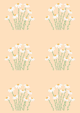 Daisy Flower Pattern on Peach Background
