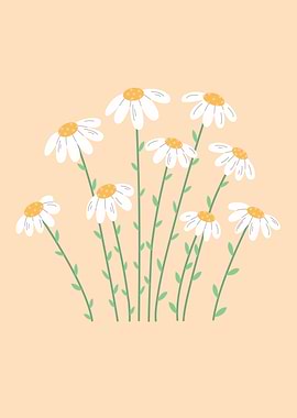 Daisies on Peach Background