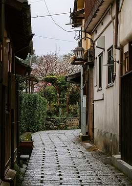 Japanese Alleyway with Cherry Blossoms