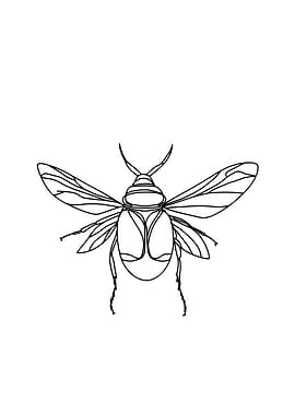 Minimalist Line Art of a Beetle