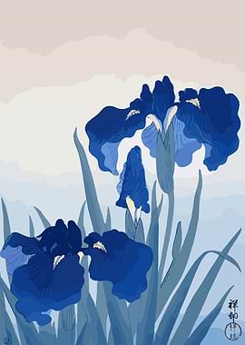 Blue Iris Floral Illustration