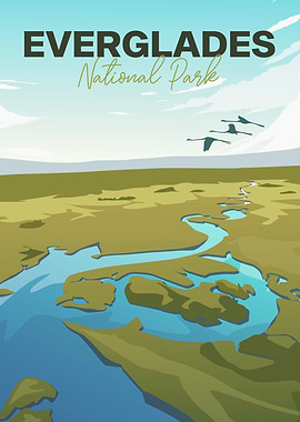 Everglades National Park Illustration